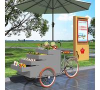 Quiosco expendedor de alimentos, carrito móvil de triciclo con soporte de exhibición de gran capacidad, remolque comercial de alimentos con paraguas para eventos y uso al aire libre