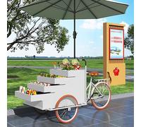 Quiosco expendedor de alimentos, carrito móvil de triciclo con soporte de exhibición de gran capacidad, remolque comercial de alimentos con paraguas para eventos y uso al aire libre