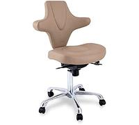 QUIRUMED Taburete con Respaldo ergonómico y Atractivo diseño Visón