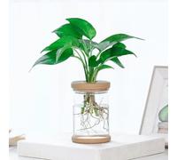QuivyLivy Maceta transparente moderna, tarro de observación de raíces, soporte para plantas de mascotas respetuoso con el medio ambiente, cuenco de cría de peces transpirable, jarrón de flores