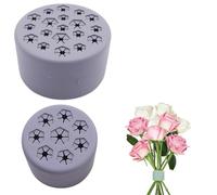 Quixotical 2 pièces Support de Tige en Spirale Ikebana, Réutilisables Support De Tige en Spirale, Support de Tige en Spirale, Silice, Support d'arrangement Floral, pour Bouquets de Fleurs (S+L)