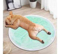 Qukaim Colchoneta de dormir para perros y mascotas, cama de verano redonda, diseño de frutas en limón verde, almohadilla de dormir para perros para uso en interiores y exteriores, 60 cm de diámetro