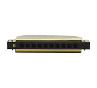 Qukaim harmonicaforbeginners G-20 Mouthorgan, 10 agujeros, 20 tonos, clave de G Blues armónica con estuche ABS para principiantes y amantes de la música, instrumento de viento, dorado