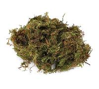 Qukaim Mossfor Reptiles Reptiles Terrario Musgo Musgo Sphagnum Verde Sustrato para Reptiles, Decoración Natural para Terrarios, 100 g