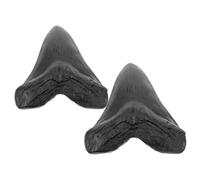 QUMIIRITY 2piezas Modelo De Resina De Dientes De Megalodon Decoración Prehistórica para Enseñanza y Adornos De Oficina