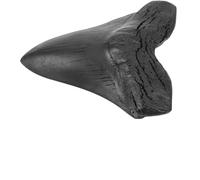 QUMIIRITY Diente Gigante de Megalodón Réplica en Resina Acabado sin Rebabas para Coleccionistas y Decoración en Espacios Interiores