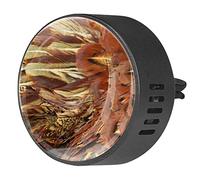 Quniao Plumas de pluma de pollo de pájaro, 2 piezas, difusor de ambientador de aromaterapia de coche, difusor de fragancia de coche, clip de ventilación para coche, oficina, cocina