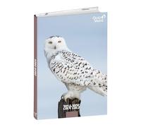 Quo Vadis Agenda escolar Eurotext 1282389Q multilingüe año 2024-2025 Visual Búho Formato 12 x 17 cm Diaria 12 meses Agosto-Julio Papel Blanco Tapa de cartón Amigos de 4 patas