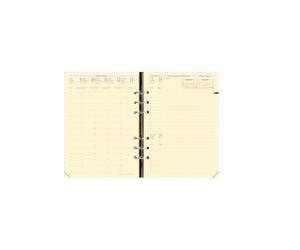 QUO VADIS Recharge 2012/2013 pour agenda Timer 21 Prestige