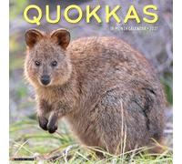 Willow Creek Press, Quokkas - Calendario de pared 2027