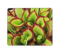 quopvn Alfombrilla de ratón lavable con estampado de plantas carnívoras, base de goma antideslizante para ordenador portátil