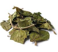 QURA Gurmar | Hojas de Gudmar Seco - 200g | MADHUNASHINI/Sirukurinjan | Podapatri | Madhunashini Leaves Gymnema Sylvestere