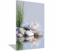 QUSAAOU Cuadro ImpresióN Nenúfar blanco piedras lisas reflejo agua tranquila!Blanco Painting Mural Lienzo ImpresióN En Lienzo De Paisajes Para BañO Entrada VestíBulo CafeteríA -30x45cm Enmarcado