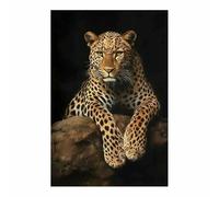 QUSAAOU Cuadros Decoracion Salon Modernos Leopardo relajado en roca Cuadros Para Salon Foto Con Lienzo Canvas Laminas Cuadro Dormitorio Decoracion Hogar Pared Quadro（Marrón-80x120cm1 Sin marco