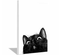 QUSAAOU Decorativo Para Pared Gato negro curioso minimalista Adecuado Para Paredes De Salas De Estar, Dormitorios, BañOs Y Pasillos; DecoracióN Del Hogar（Negro-blanco-20x30cm1 Enmarcado