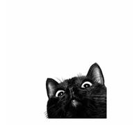 QUSAAOU Decorativo Para Pared Gato negro curioso minimalista Adecuado Para Paredes De Salas De Estar, Dormitorios, BañOs Y Pasillos; DecoracióN Del Hogar（Negro-blanco-80x120cm1 Sin marco