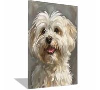QUSAAOU Decorativo Para Pared Maltés lindo retrato mascota Adecuado Para Paredes De Salas De Estar, Dormitorios, BañOs Y Pasillos; DecoracióN Del Hogar（Rosa claro-70x100cm1 Enmarcado