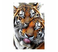 QUSAAOU Decorativo Para Pared Pareja de tigres amorosa acurrucada fauna Adecuado Para Paredes De Salas De Estar, Dormitorios, BañOs Y Pasillos; DecoracióN Del Hogar（Naranja-30x45cm1 Sin marco