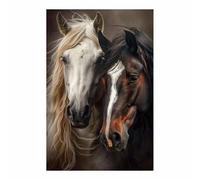 QUSAAOU Decorativo Para Pared Retrato de dos caballos Adecuado Para Paredes De Salas De Estar, Dormitorios, BañOs Y Pasillos; DecoracióN Del Hogar（Gris oscuro-60x90cm1 Sin marco