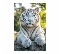 QUSAAOU Decorativo Para Pared Tigre blanco ojos azules recostado roca Adecuado Para Paredes De Salas De Estar,Dormitorios,BañOs Y Pasillos; DecoracióN Del Hogar（Verde-30x45cm Sin marco