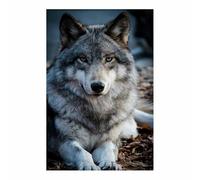 QUSAAOU Decorativos Modernos Retrato majestuoso de lobo Las Decoraciones De Pared En Lienzo Son Adecuadas Para Salas De Estar, Comedores Y Oficinas（Gris oscuro-30x45cm1 Sin marco