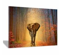 QUSAAOU Lienzos Decorativos Pared Elefante caminando en bosque otoñal Cuadros Decoracion Salon Modernos Lienzos Decorativo Pared Decoracion Lienzo Modernos（Marrón-60x90cm1 Enmarcado