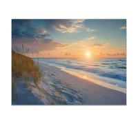 QUSAAOU Pintura Decorativa Para Dunas arenosas hierba playa ocaso marino Arte De Pared Moderno Adecuado Para Dormitorios Comedores Pasillos BañOs Oficinas Y Cocinas （Azul-70x100cm1 Sin marco