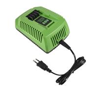 Qusedwey Cargador de BateríA de Litio de 40 V para GreenWorks 29482 G-MAX BateríA de Iones de Litio de 40 V 29472 29482 29652 G40825 Enchufe de la UE