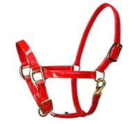 Qusinfc Caballo de cuero elegante de alta calidad con hebillas de aleación, impermeable y resistente al olor, para equitación, deportes de equitación