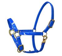 Qusinfc Caballo de cuero elegante de alta calidad con hebillas de aleación, impermeable y resistente al olor, para equitación, deportes de equitación