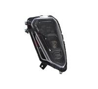 QUTBAG Lámpara Trabajo Faro Delantero Para Parachoques Para Dongfeng Para Forthing T5 EVO Faro Antiniebla Faros(SX5G-4121110 left)