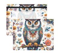 Quteprint Paquete de 2 estuches para carpetas de 3 anillas, mandala étnico, boho, animal, búho, estuche para lápices, bolsa de archivo A4 con ventana transparente con cremallera, organizador duradero