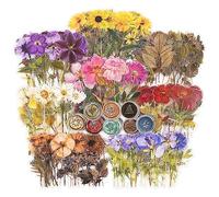 Qutsvosh Juego de pegatinas de flores prensadas (320 unidades), flores secas, pegatinas de resina, calcomanías florales, pegatinas botánicas para diario
