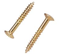 Qutsvosh Paquete de 80 tornillos de montaje de anillo de Humbucker para guitarra SG