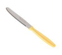 Quttin 90257 Set 6 Cuchillos Postre Sierra Yvory 10.5 Basic