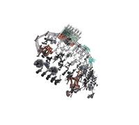 QUXVUIS Figuras de acción de Caballeros, Juguetes Soldados, emoción al Jugar con Figuras Caballos, creando Historias cautivadoras, Soldados Juguete, Caballos plástico, Juegos para niños.