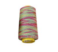 QUXVUIS Resistente al desgaste Hilo de coser Hilo de bordar poliéster multicolor A la moda No es fácil desvanecer Versátil, colorido tipo 3