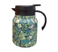 QUXVUIS Teteras de vidrio Tetera de acero inoxidable Elegantes entusiastas del té con frascos Bebidas Patrón tetera japonesa Pajitas, Verde, 1000 ml