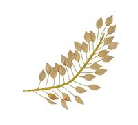 QUXVUIS Tocado de rama Boho Alice Band Diadema para el cabello para el cabello nupcial delicada Joyería para la cabeza de perlas para reuniones de verano Fiesta de baile y