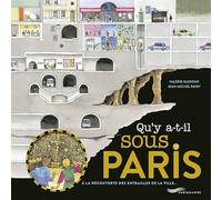 Qu'y a-t-il sous Paris ?: A la découverte des entrailles de la ville...