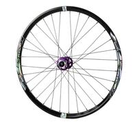 QUYCOIU 24/26/27,5/29" Rueda Delantera Bicicleta Montaña Freno De Disco Buje HG Eje Pasante 12×100Mm 2 Rodamientos Llanta Aleación Aluminio Válvula Schrader A/V Rueda De Bicicleta(Black-b,24in)