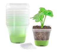 Quystetes Paquete de 12 macetas cuadradas de plástico de 3 pulgadas, maceta transparente con base de silicona suave para un fácil trasplante, macetas fáciles de instalar