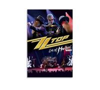 QWCWZPPZ ZZ Top Singer - Póster decorativo para álbum de música, 30 x 45 cm, estilo sin marco