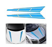 QWEERASS Pegatinas Coche Bandas,para Tesla Model 3/Y 2017-2024 Calcomanía Modificado Calcomanía Decoración Protector de Puertas Tiras Adhesivas,C