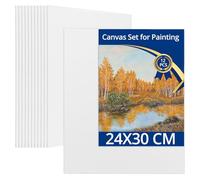 QWORK® 12 piezas lienzo para pintar 24x30 cm - lienzos de algodón sin ácido para pintura acrílica, pintura al óleo