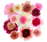 QWORK® 12 pompones de papel de seda variados - Decoraciones grandes y coloridas para fiestas, flores gigantes de seda hechas a mano para celebraciones