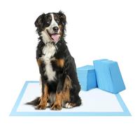 QWORK® 60 Piezas Almohadillas para Cachorros, 75 x 85 cm Almohadillas de Entrenamiento para Mascotas, Alfombrillas para Orinar Altamente Absorbentes, para Medianos Mascotas Pequeñas