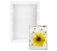 QWORK® Moldes grandes para resina epoxi, moldes rectangulares de silicona para bandejas, platos y decoraciones de escritorio DIY, 24,5 x 17 x 5 cm