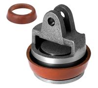 QWORK® Pistón de repuesto para bombas manuales, bomba de pozo con 1 anillo de sellado adicional - Compatible con bomba de jardín tipo 75