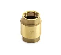 QWORK® Válvula antirretorno con rosca interior de 1" (DN 25) - Válvula de latón